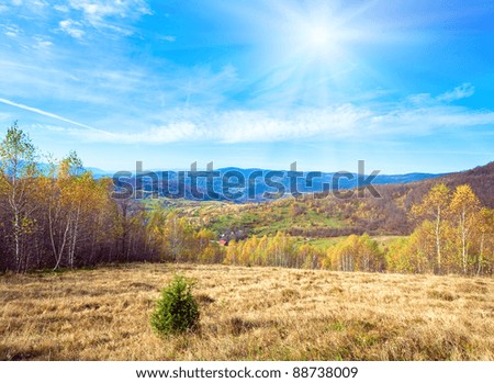 Autumn mountain country landscape with village ,birch trees and sunshine in sky (Carpathian, Ukraine).