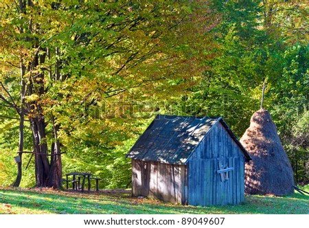 Shed and wood picnic table in sunny autumn forest border