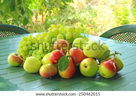 Bunch of grapes, apples and pears on a table in the garden