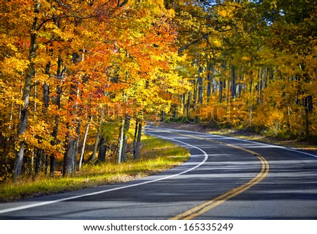 Beautiful scenic empty road in the fall