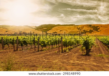 Motion blur moving past Californian vineyard and rows of vines with filters