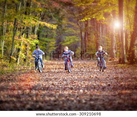 Three boys cycling on a path in fall