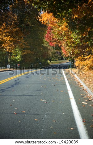 An empty road with diminishing perspective during the fall season