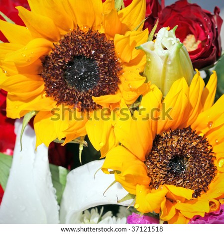 Beautiful sunflower bouquet background