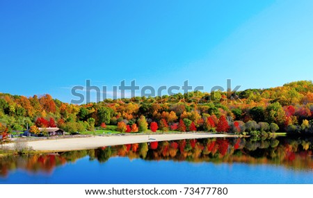 Beautiful lake view and trees during the fall