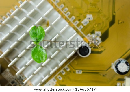 Little plant on electronic in the environment concept