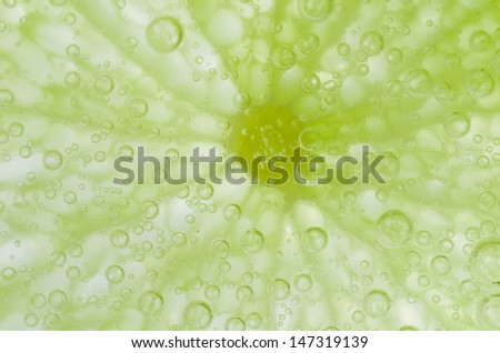 lemon slice in white background in the raw fruit concept