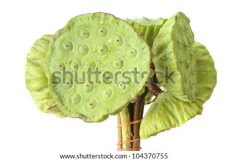 Lotus seeds green Isolated