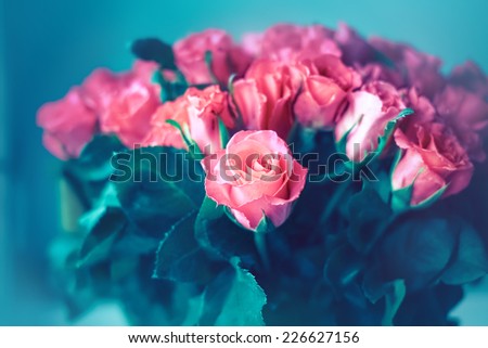 Red Roses with filter effect  vintage background