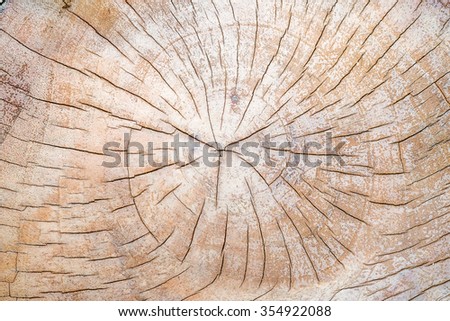 Abstract background texture dry wood eye