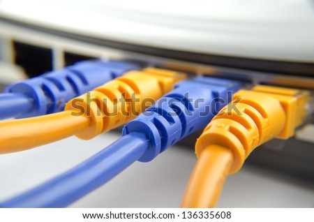 network cables connected to switch close up