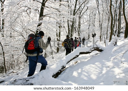 hiking people in winter forest