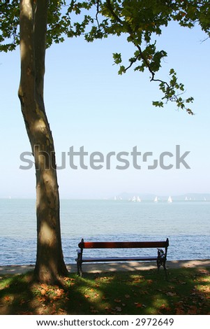 a lonely bench is waiting for somebody to be seated.