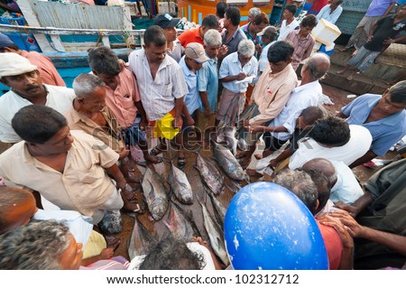 MIRISSA, SRI LANKA - APRIL 10: Fishermen returned to their work in Mirissa, Sri Lanka on April 10, 2012. In 2008 USAID finalize a $12.7 million repair of fishing harbor affected by tsunami in Mirissa.