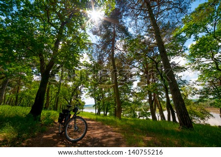 Road bicycle on the rural road in the forest, sun shining through leaves