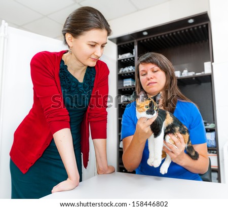 Woman vet consults cat owner in clinic