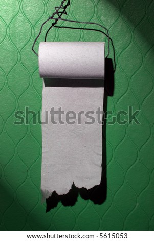 Cheap toilet paper roll on the green wall. You can write your message on it.