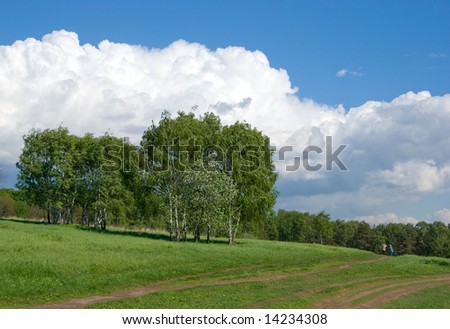 Birches on a green hill. Two persons walk on a footpath. Beautiful cloudscape above.