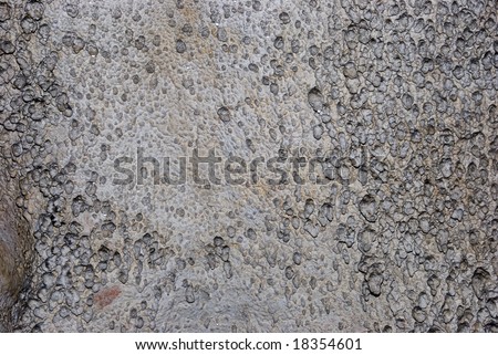 Wall texture in a cave Emine-bair-hosar , Chatyrdag plateau, Crimea, Ukraine