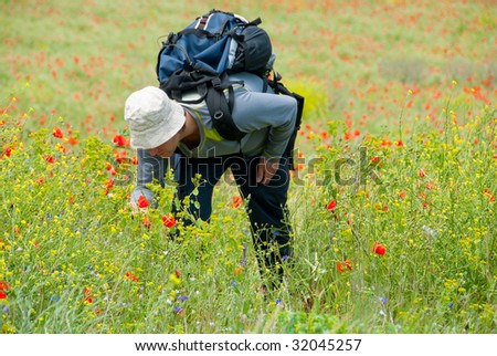 Happy hiker on a blooming poppy field