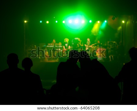 Audience at live music concert