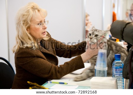 MOSCOW - MARCH 6: Unidentified vet examines a cat at international exhibition of cats \