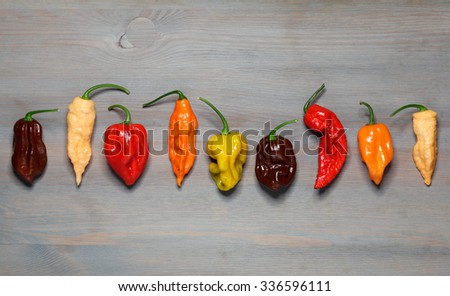 Assorted fresh organic red chili peppers, habanero,colorful red and yellow sweet peppers and jalapeno