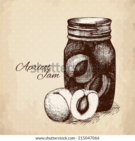 Ink hand drawn  apricot jam jar  illustration on vintage spotted background. Harvest autumn illustration