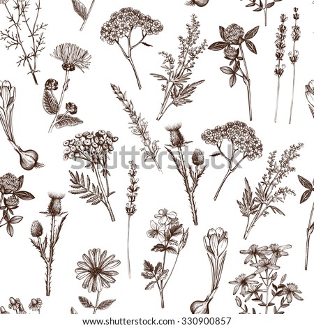 Botanical design with hand drawn spices and herbs. Decorative colorful background with vintage medicinal herbs sketch. Herbal seamless pattern