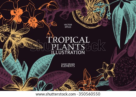 Vector design with ink hand drawn tropical fruit, flowers and leaves sketch. Vintage exotic plants background