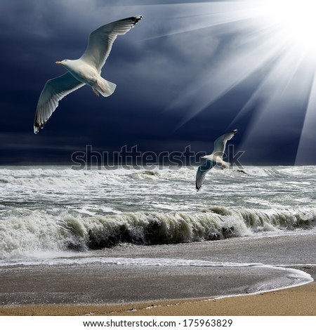 Seagulls Flying On Sea Background And Sun Ray Through Clouds