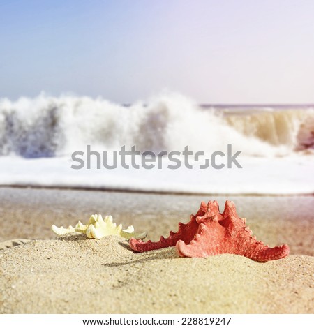 Starfishes on sandy beach. Travel concept in retro style