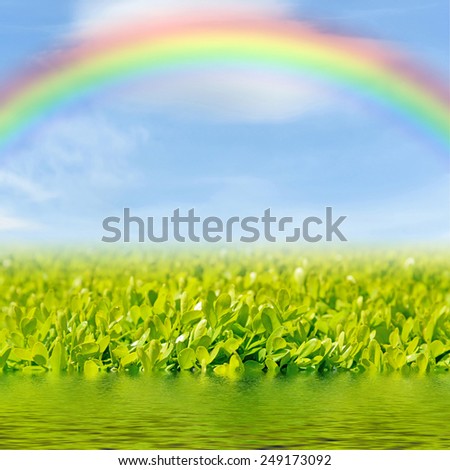 Green grass and a rainbow in the sky reflected in the water