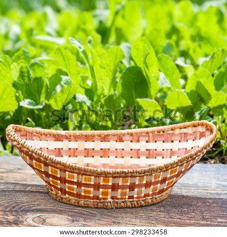 Empty basket on old wooden table.Blurred bed of fresh lettuce in the background