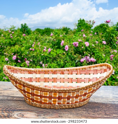 Empty basket on old wooden table.Blurred rose field in the background