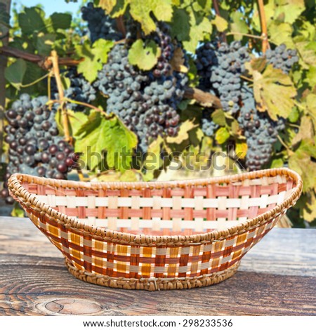 Empty basket on old wooden table.In the background blurred vineyard