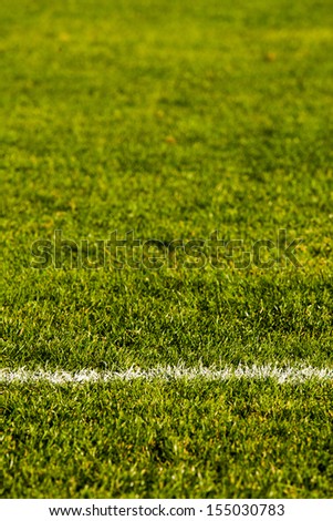 Green grass with line on football pitch