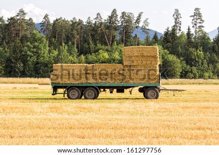 Photo of a hay cart on a field with hay on it
