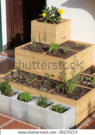 An urban square foot garden
