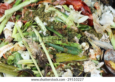 Food waste for the compost