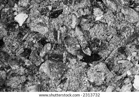 Natural ash background texture. Black and white photo