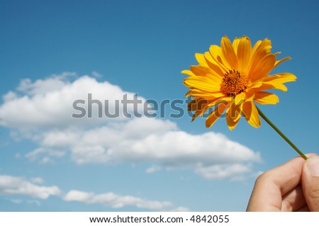Yellow flower in hand against blue sky and white clouds.