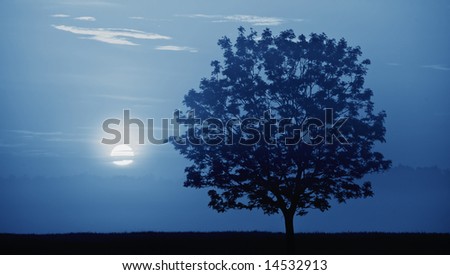 Blue moon light, fog and tree. Night shot.