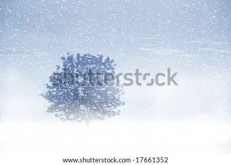 View of single tree through snow. Blue sky, snowing, trees and fog.