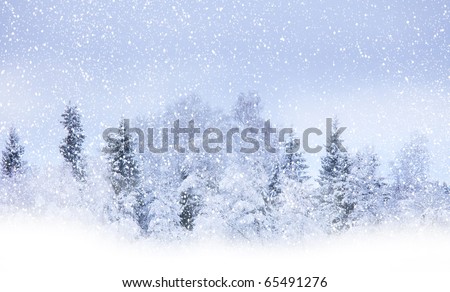 View of christmas trees through snow. Blue sky, snowflakes, trees, fog.