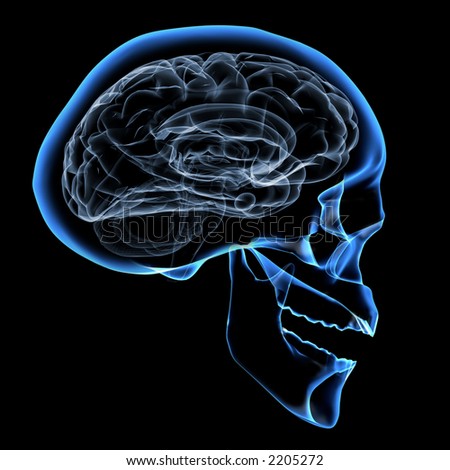 head and brain