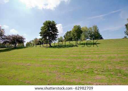 view on the green hill with trees