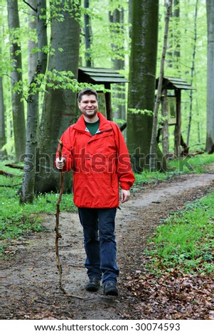 Walking man in a beech forest