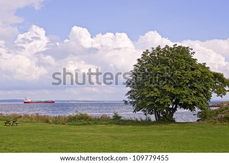 Meadow, tree and a ship by sea