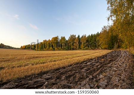 Countryside in Sweden in autumn. Beautiful nature